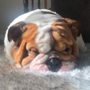 Meet your Posher, Dee